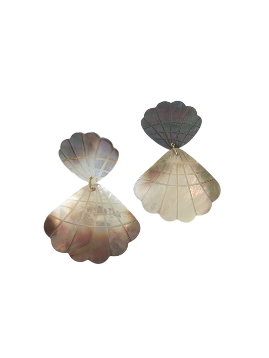 Seashell Clam Shape Earrings