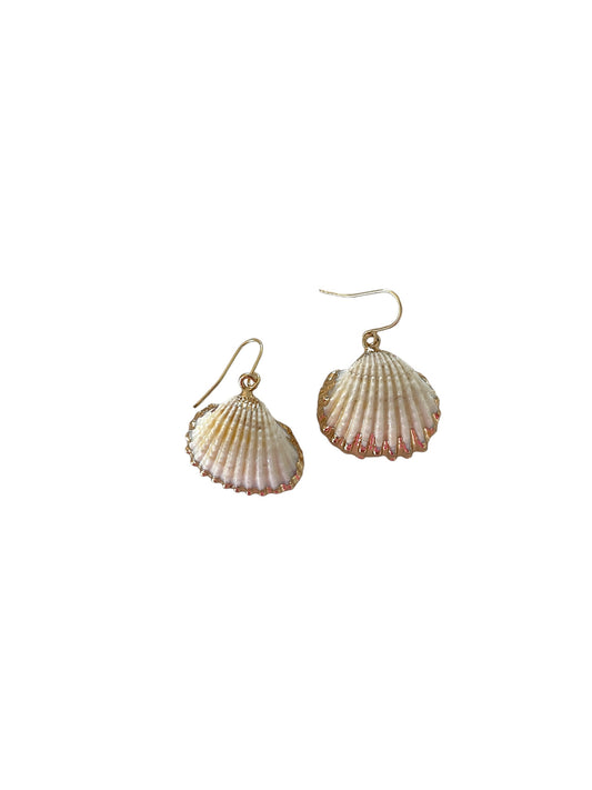 Mini Shell Hook Earrings